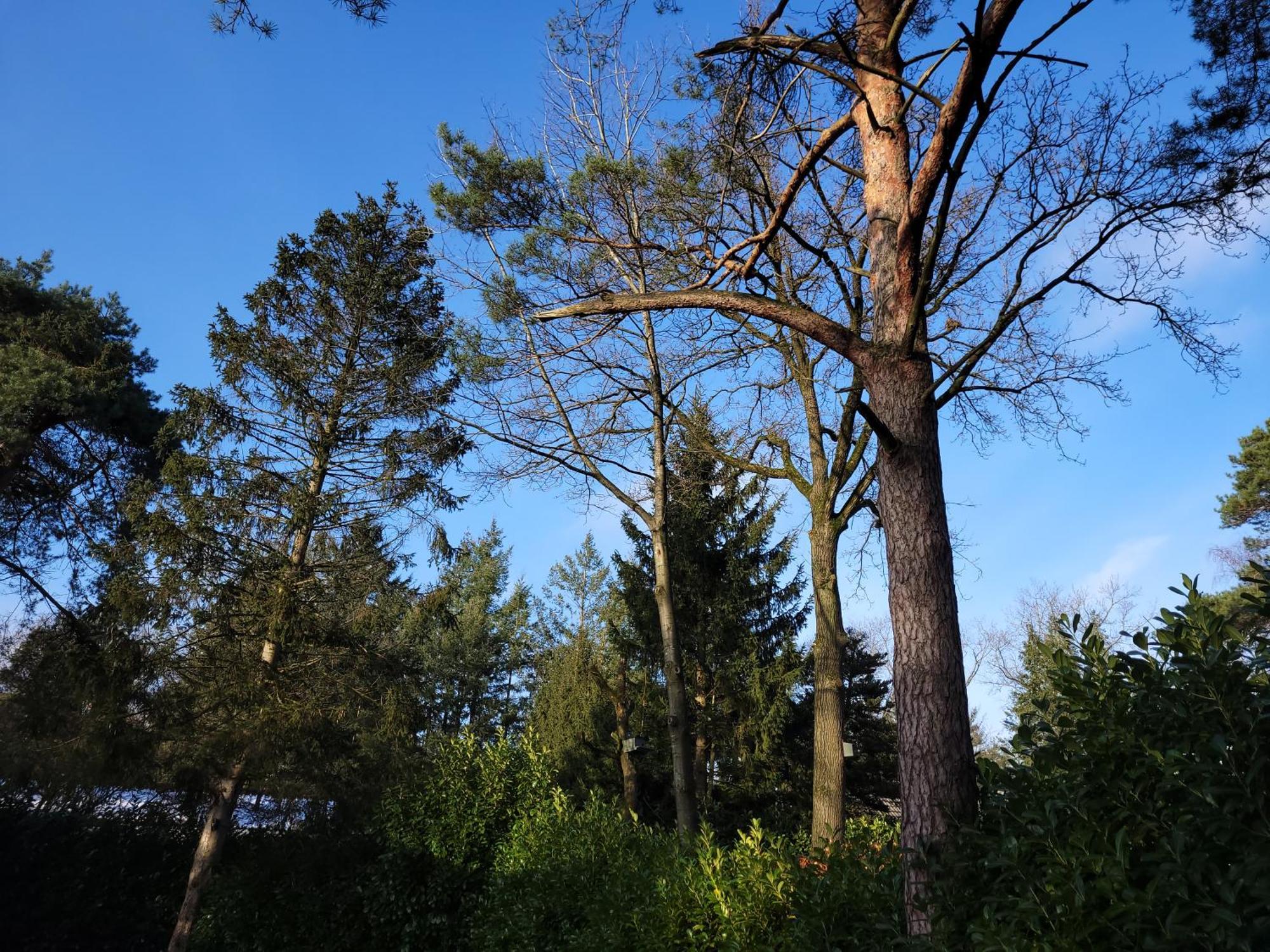 Secret Wellness Puur Natuur Holten Extérieur photo