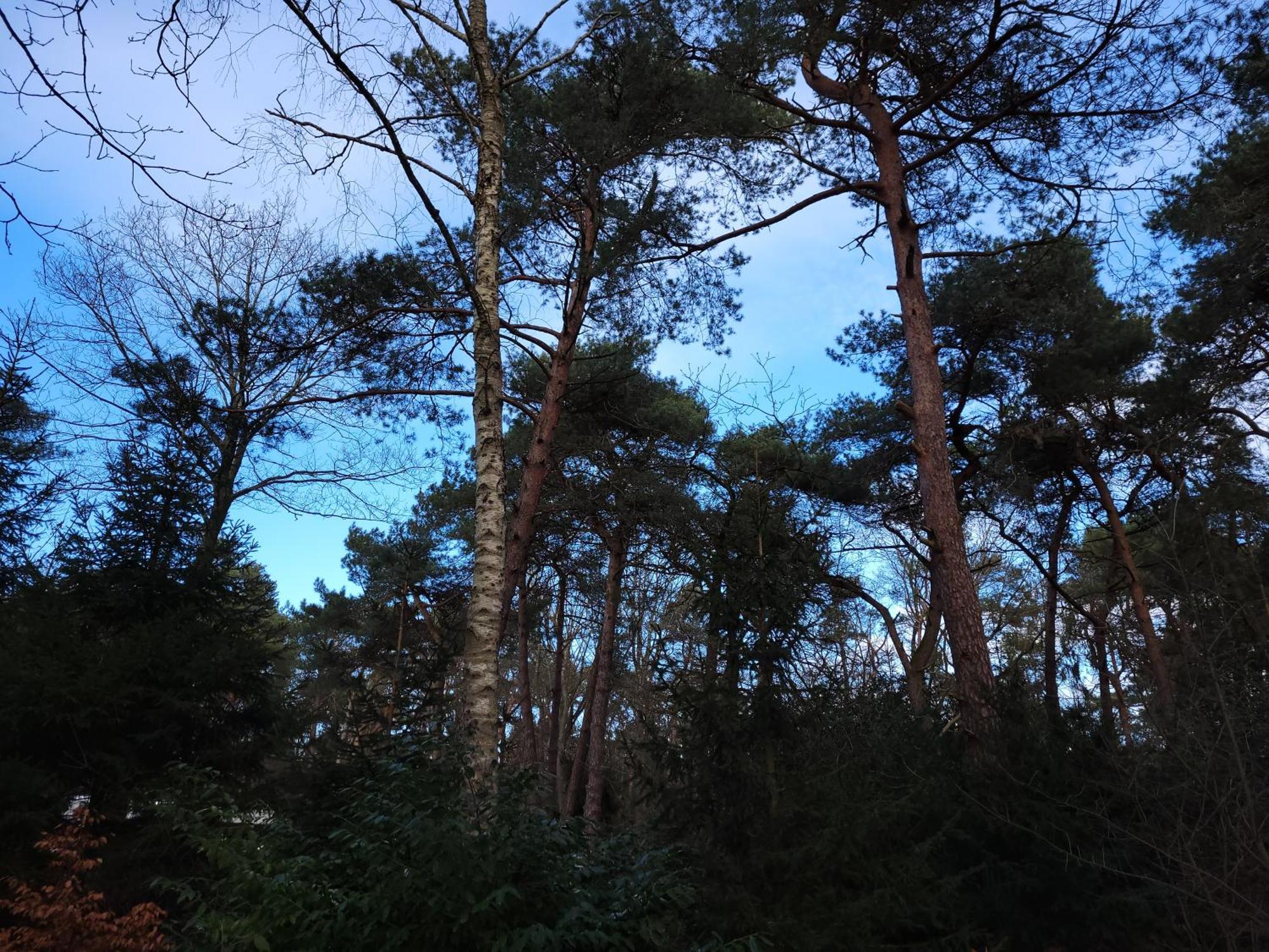 Secret Wellness Puur Natuur Holten Extérieur photo